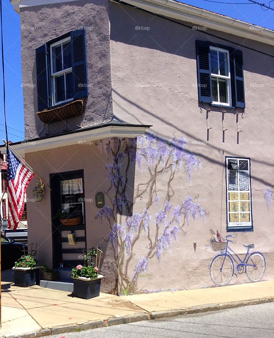 A beautiful floral mural painted on the side of a house in downtown Annapolis, Maryland.