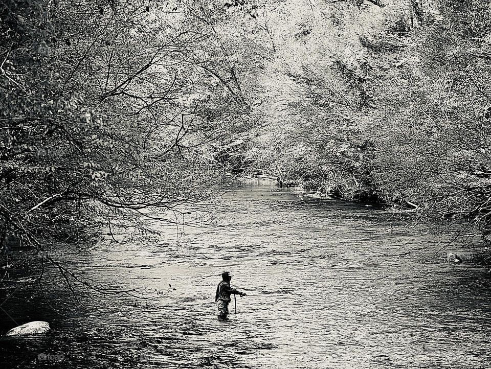 Black and white photo of a fisherman fishing for speckled trout in the fast moving river surrounded by trees