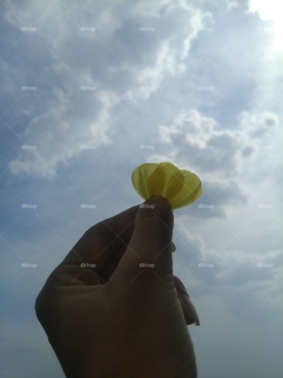 Yellow triplet and sky background!