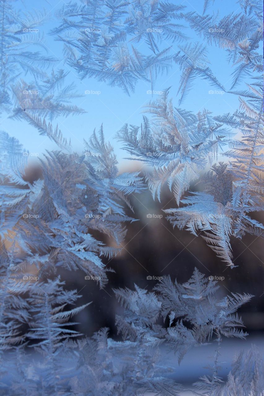 Beautiful formed ice on window