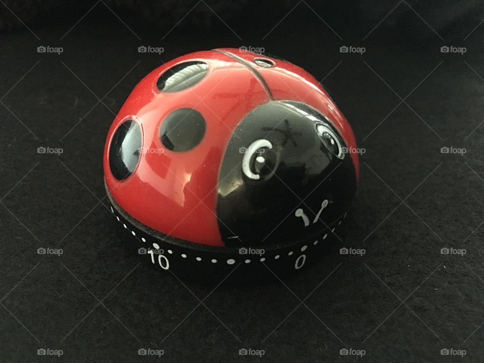 Ladybird timer looking right 