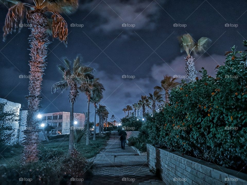 A man walks between the palms and trees at night.
