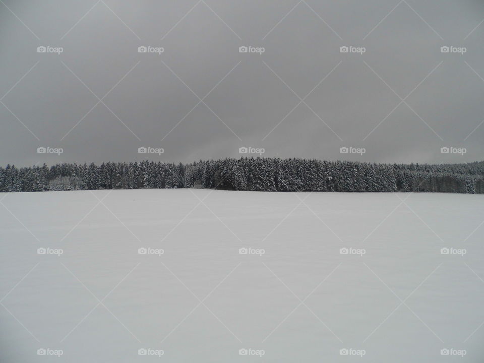 landscape and good view and Snow White