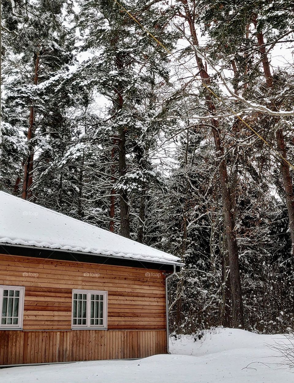 Wooden house in the winter forest🪵🏠❄️