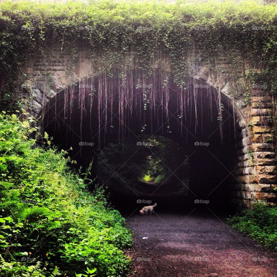 Tunnels to gates of white
