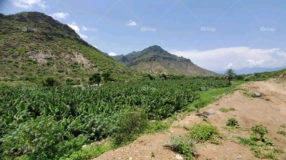 Glory be to God, the magnificent and picturesque view and the natural green trees are a view that is nothing more wonderful than it