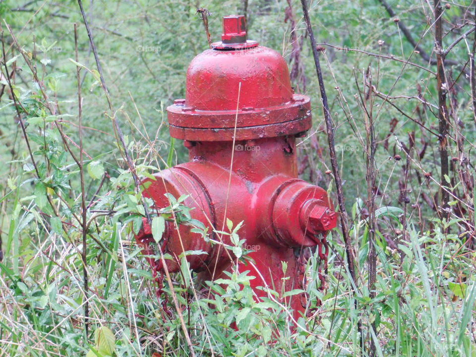 Lost Fire Hydrant