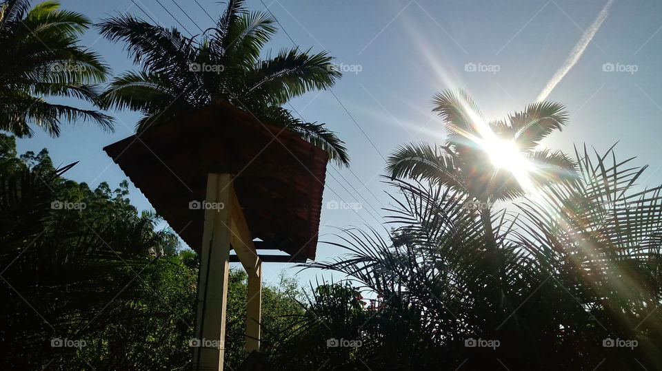 daemchheu srasa saat aschary tesapheap thommocheate ponlu preahatity ponlu preahatity bristhean thommocheate thommocheate khyal srasa kar banthour arommo .