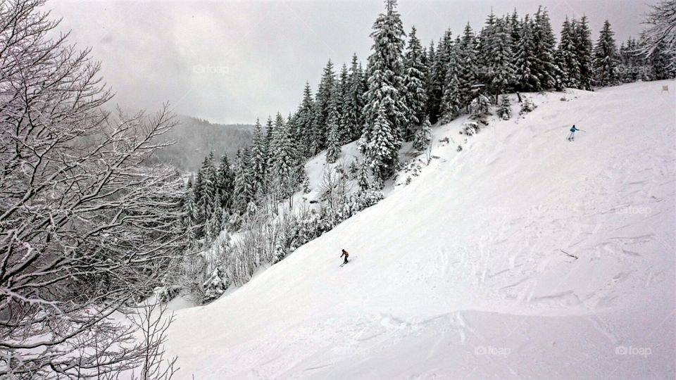 schwarzwald skiing