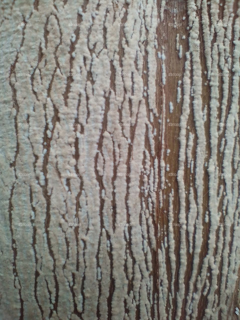 Art Pattern of Plant