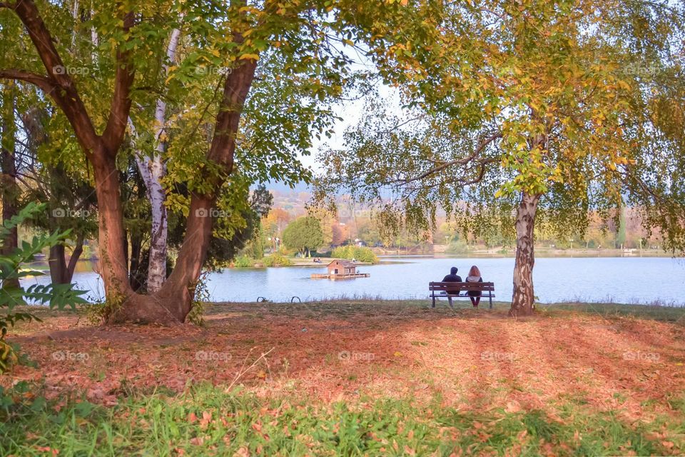 Autumn landscape