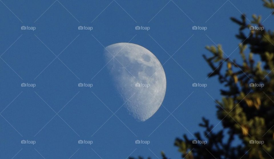 Waxing gibbous moon in the evening 