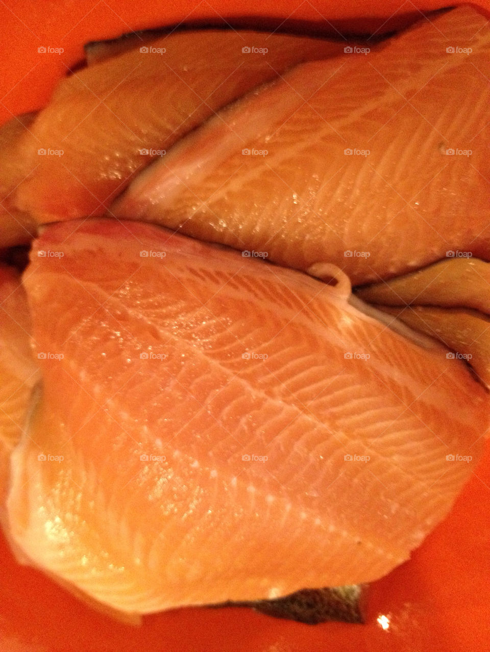 pink food fish salmon by mcrisrivera