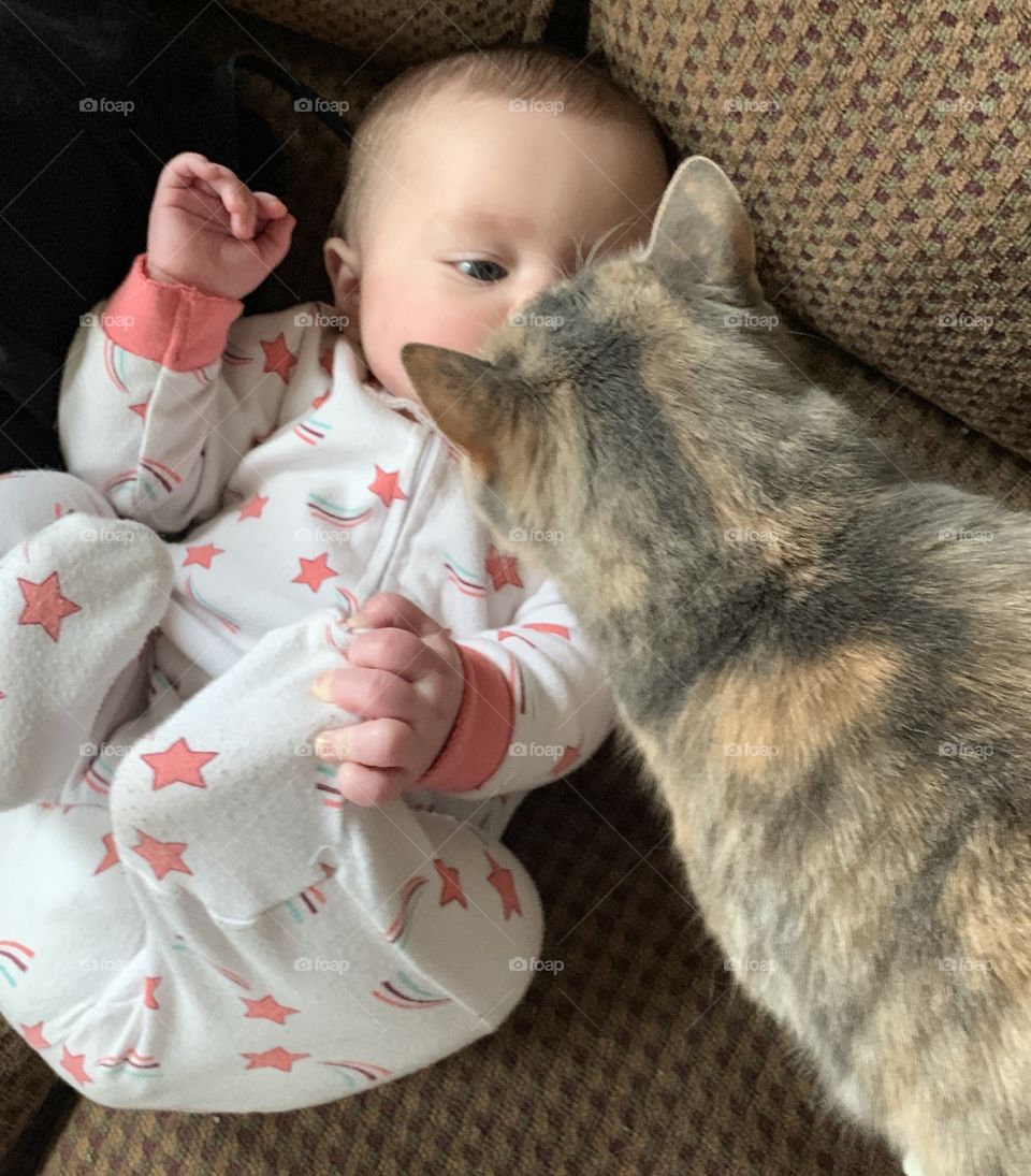 Kisses from kitties for Freya