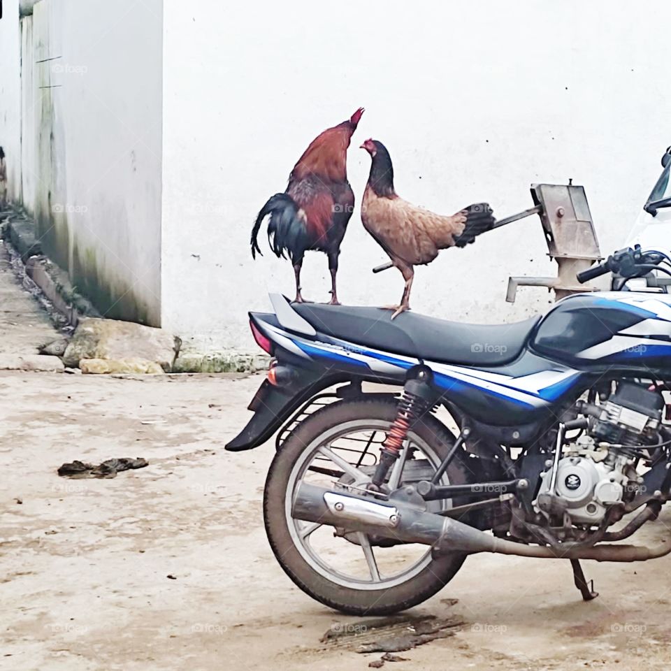 A great photo,a photo for everyone,a memorable photo,a no. photo,a photo to cherish,a beautiful photo,a great photo for the best people,an evergreen photo,a photo to remember for years,the best result of great photography