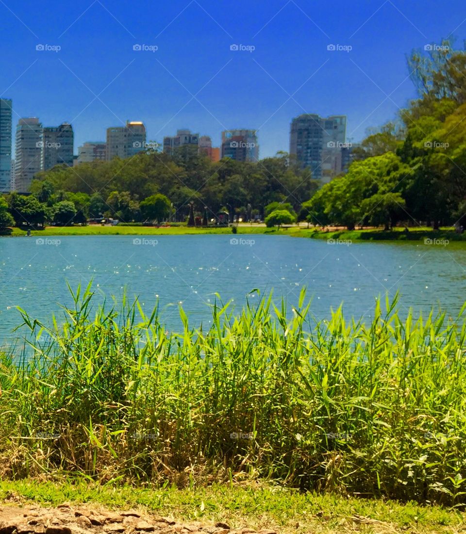 Parque ibirapuera 