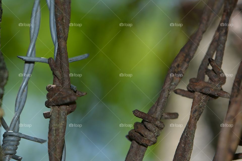 Barbed Wire, Old and New