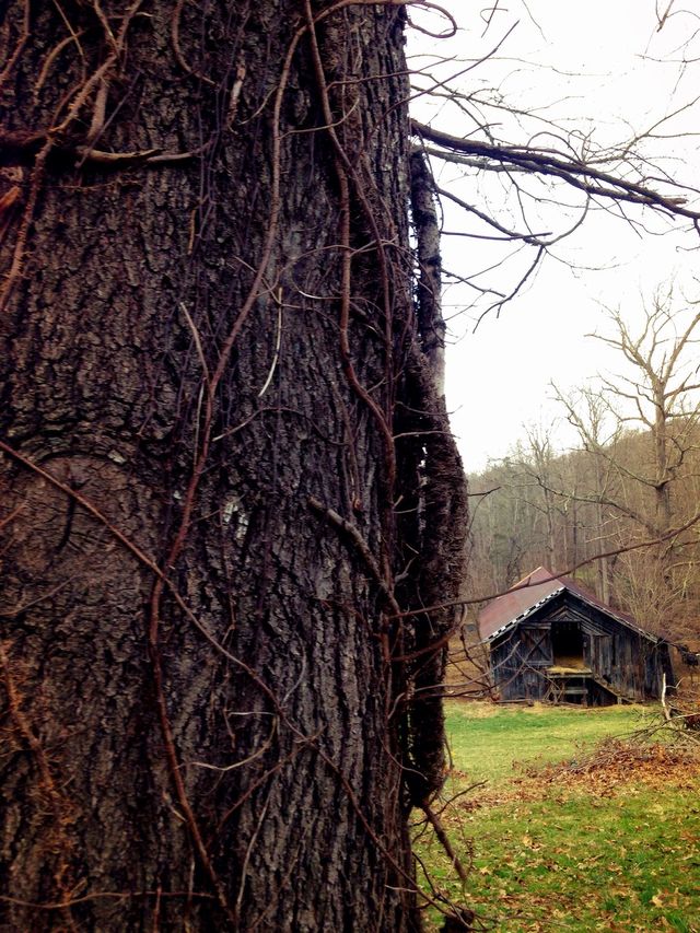 Barn View