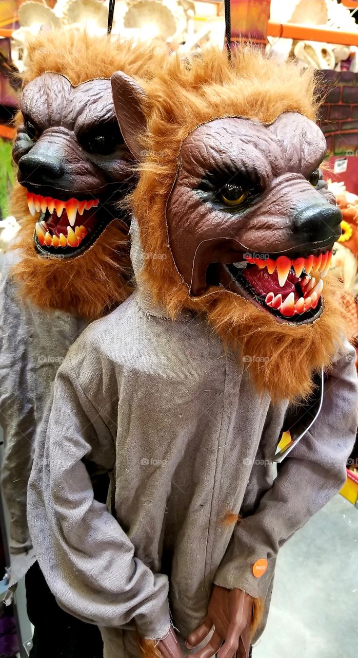 Twins werewolves in wolf's clothing