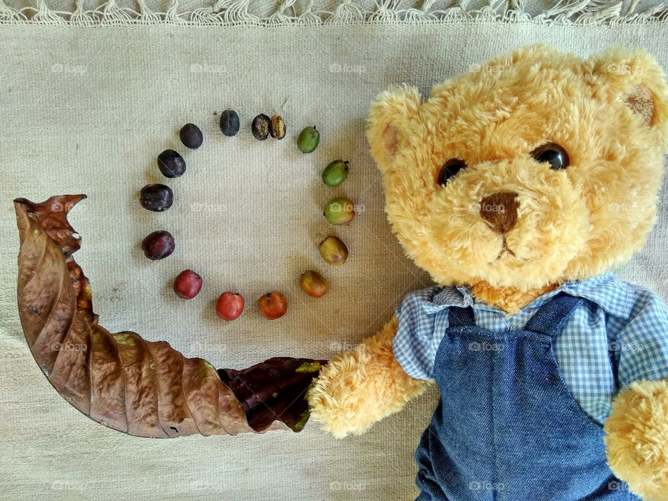 circle of coffee life