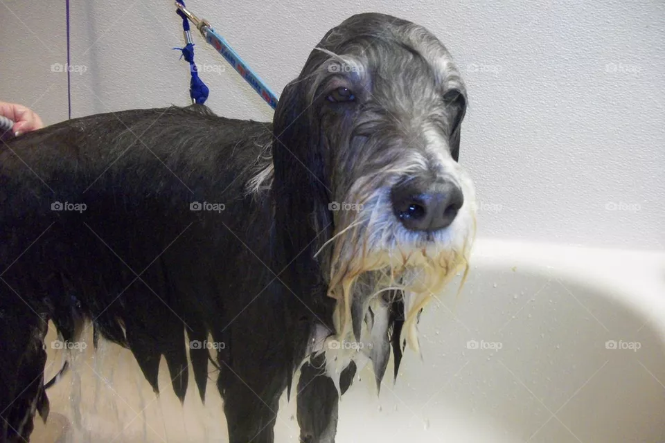 Bathtime
