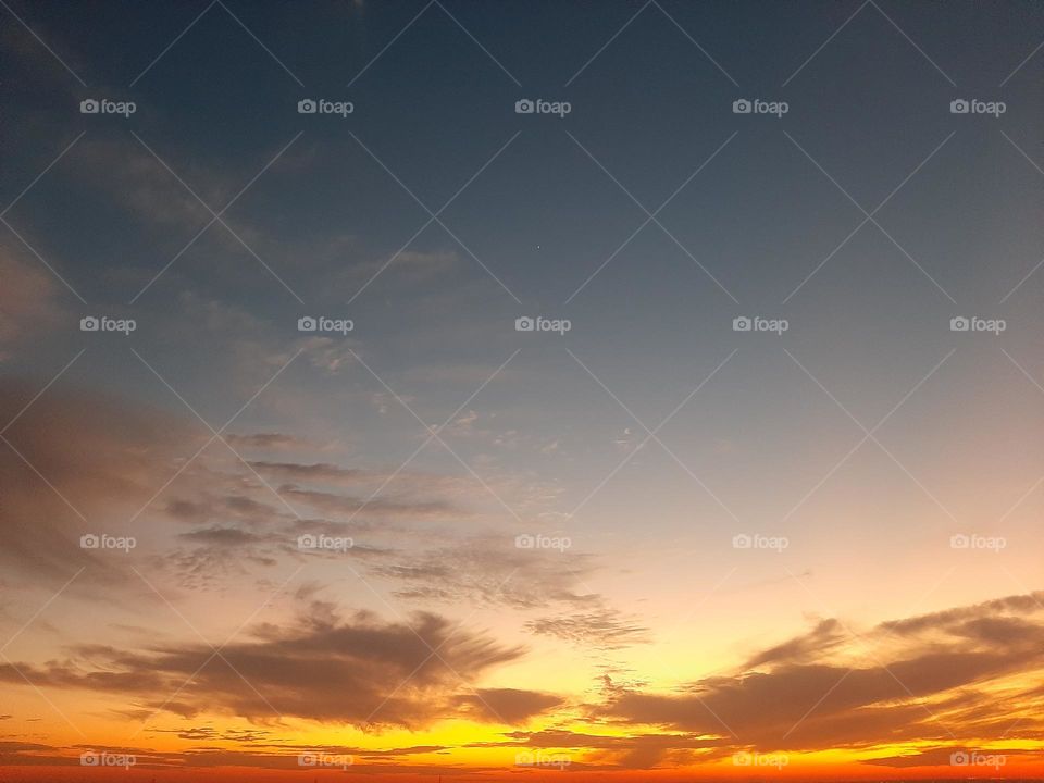 Please, I want you to support me, I need your help, I am poor, I need dollars, please