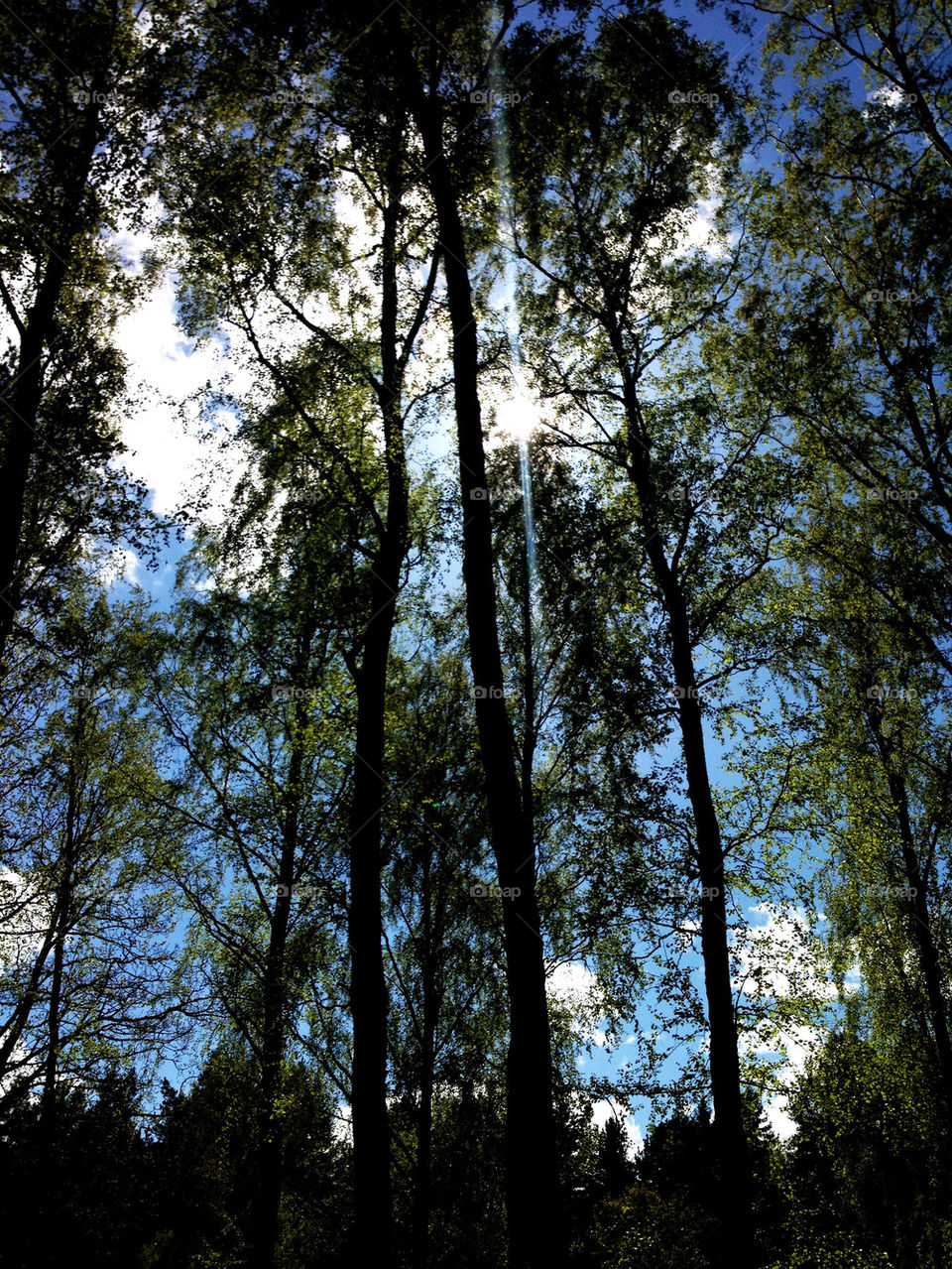 sky nature sol clouds by joosse_b