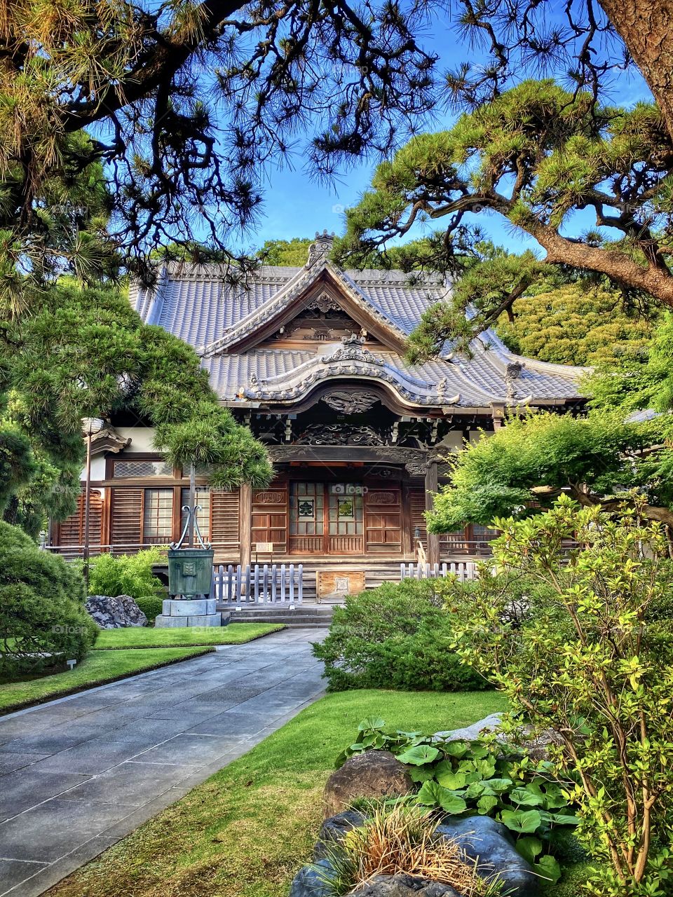 Rainy season Japan makes all the plants, foliage, grass become a vibrant luscious green. Lovely local temple grounds in Tokyo.