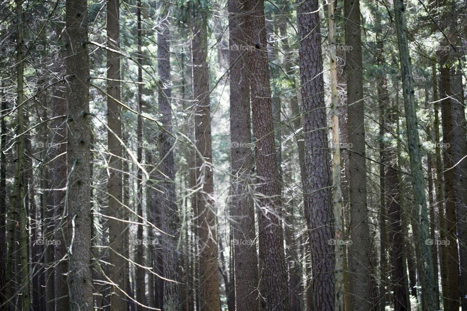 Walking on wild nature forest summer feeling holidays Crete Island Greece amazing places to visit naturalism adventure time hustling daydreaming be free