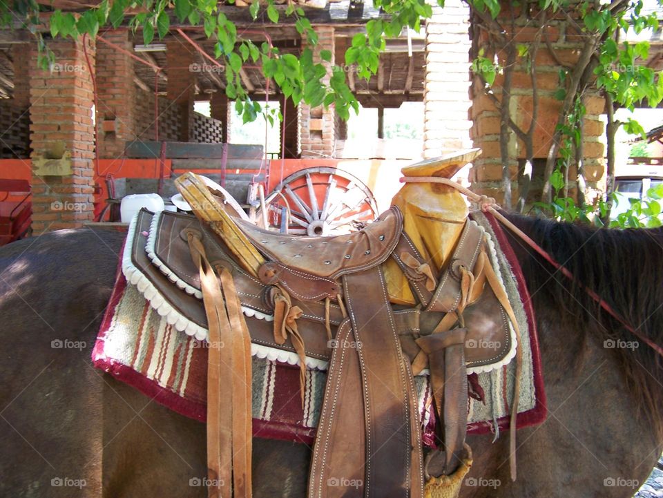Mexican saddle. Mexican Saddle