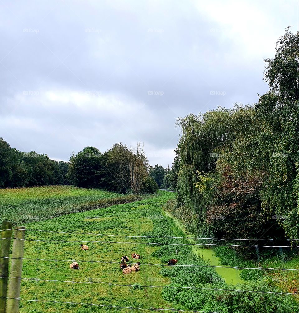 The Netherlands outside from home.