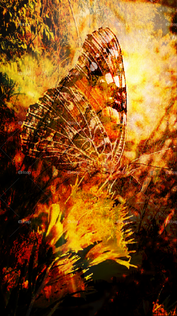 Fire butterfly. Fire butterfly