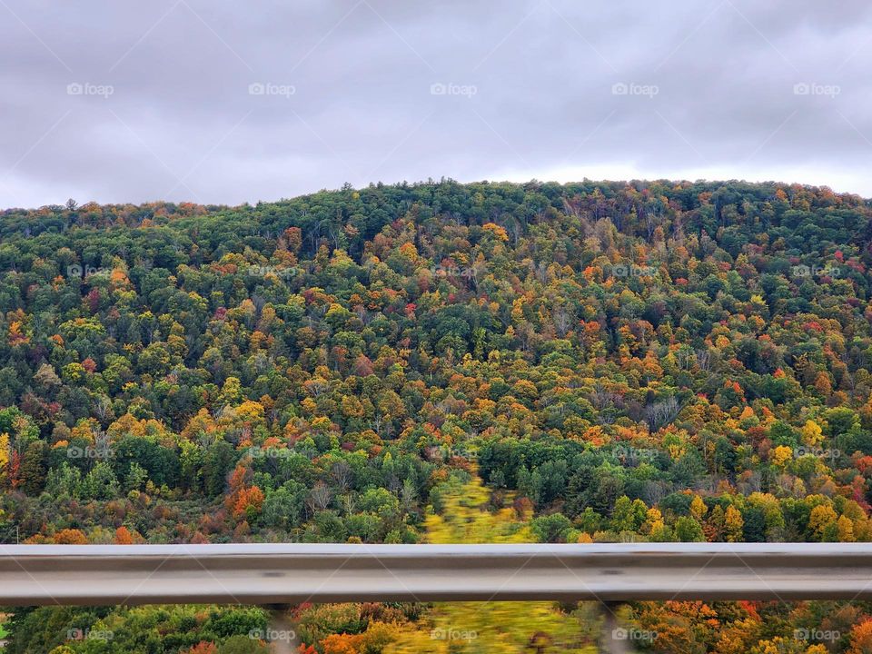 Hello Fall!!! Got this beautiful shot on our way to Pennsylvania from New York