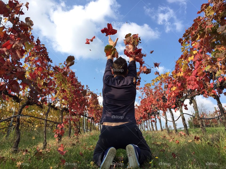 Taking the leaves inside the autumn colors