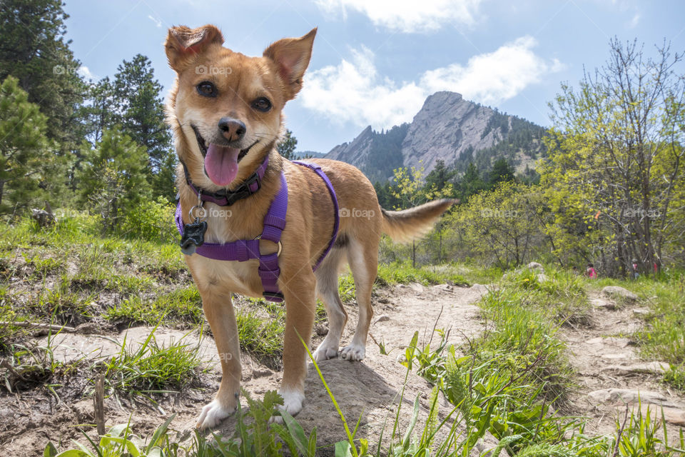 Hiking in the mountains 