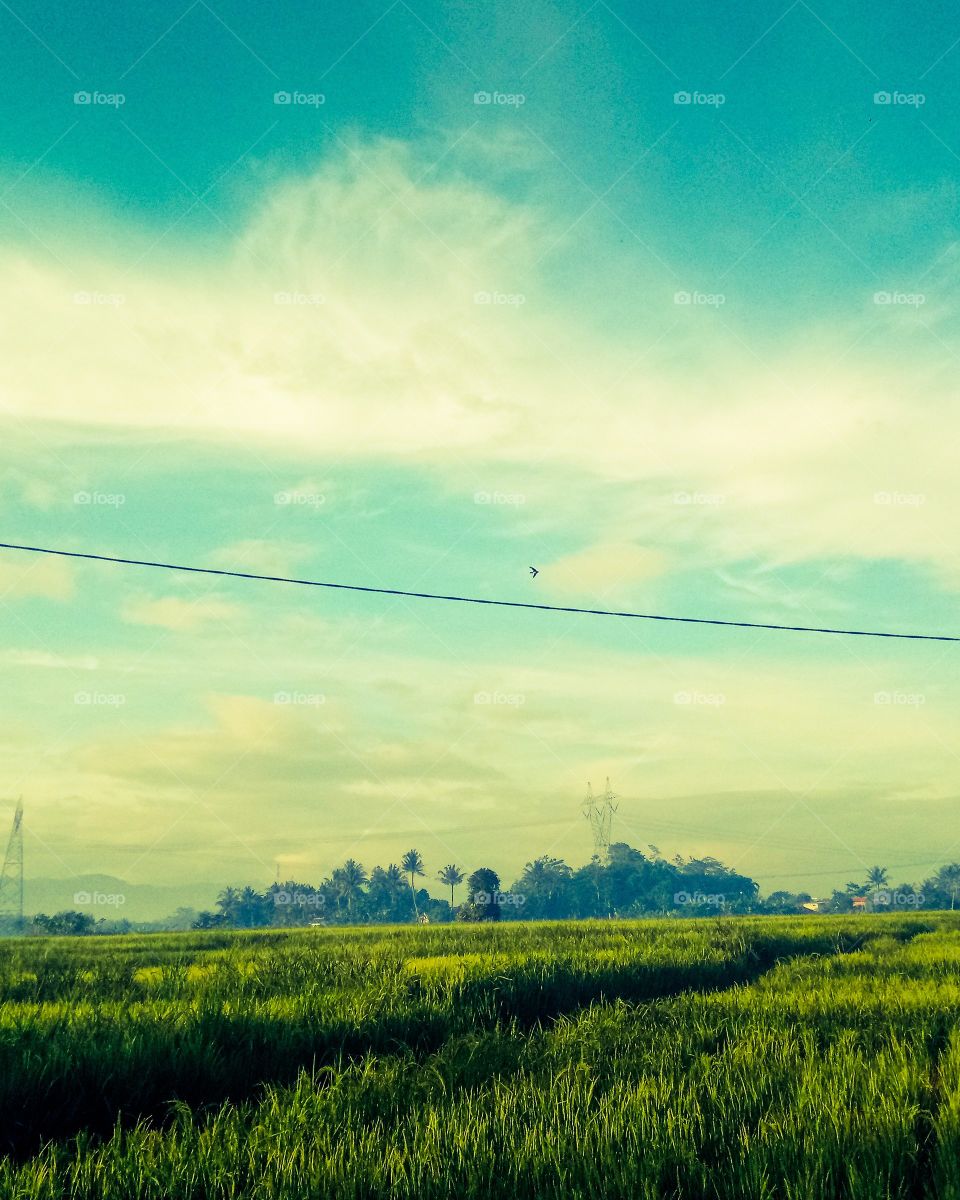 art photography design