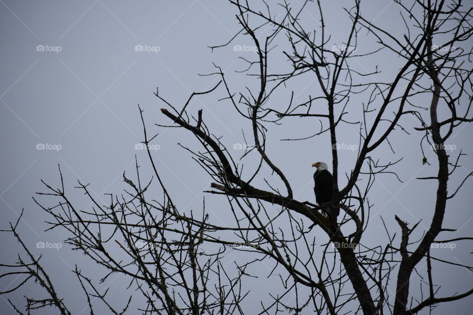 waiting on his girlfriend 