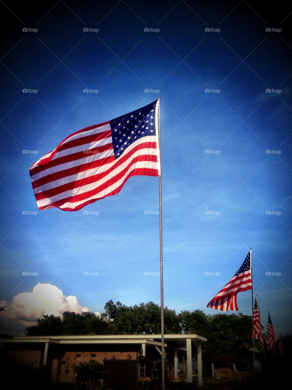 American flag in a special cemetery