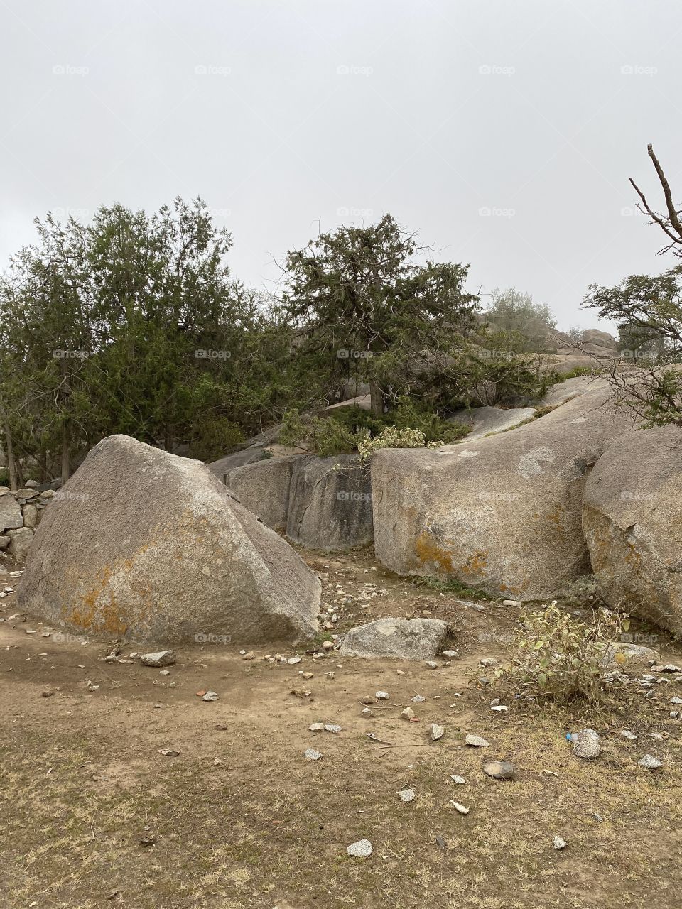 Amazing beautiful view 