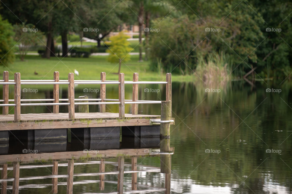wood fishing dock on pond