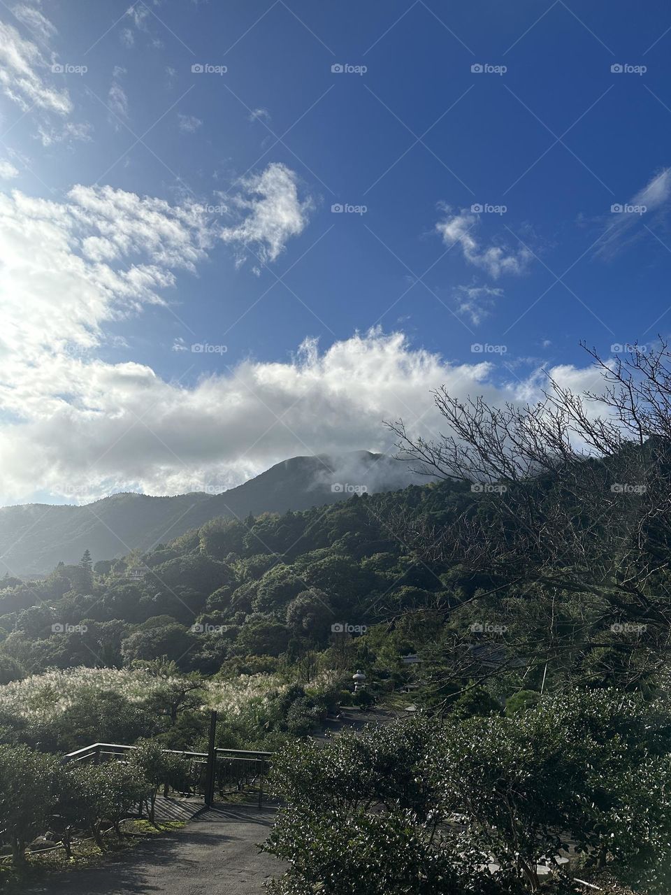 Yang Mine mountain in the Taipei
