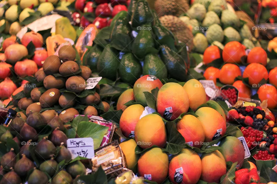 Fruit