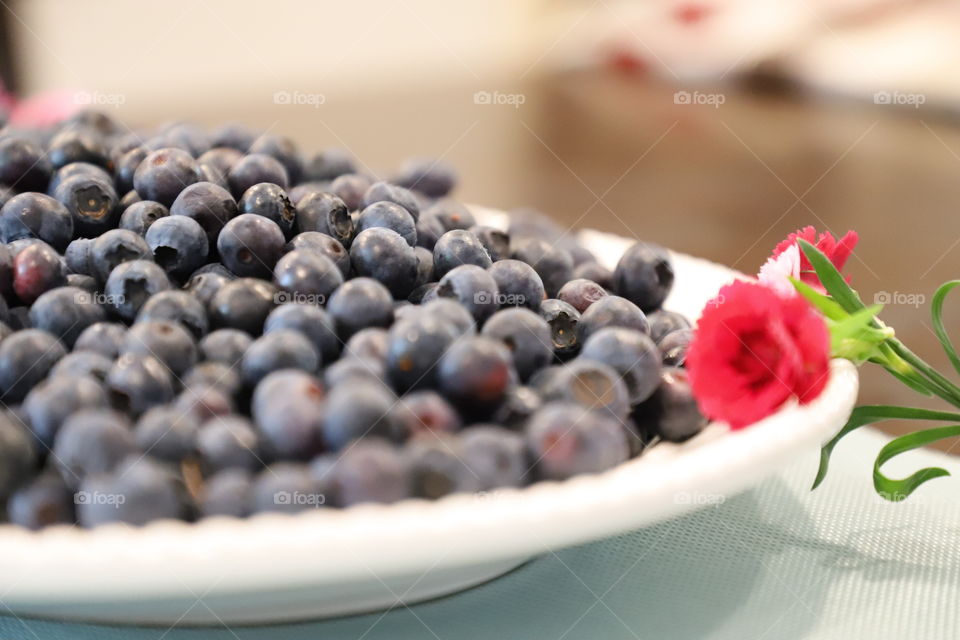 Blueberry in big white plate on top of the Dino table and flowers by it