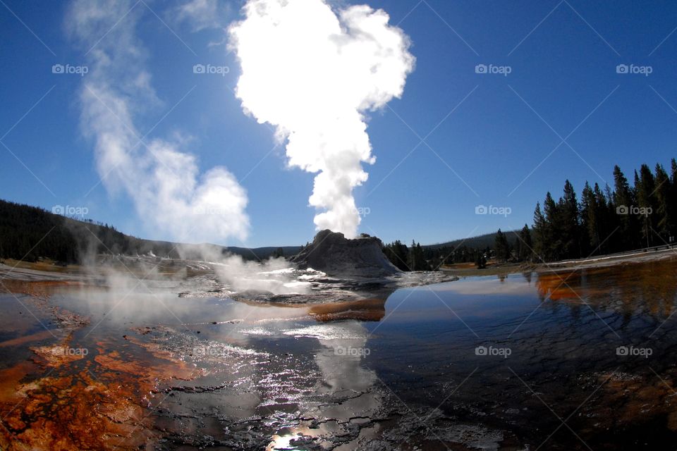 Castle Geyser steaming in Yellowstone National Park under a blue sky