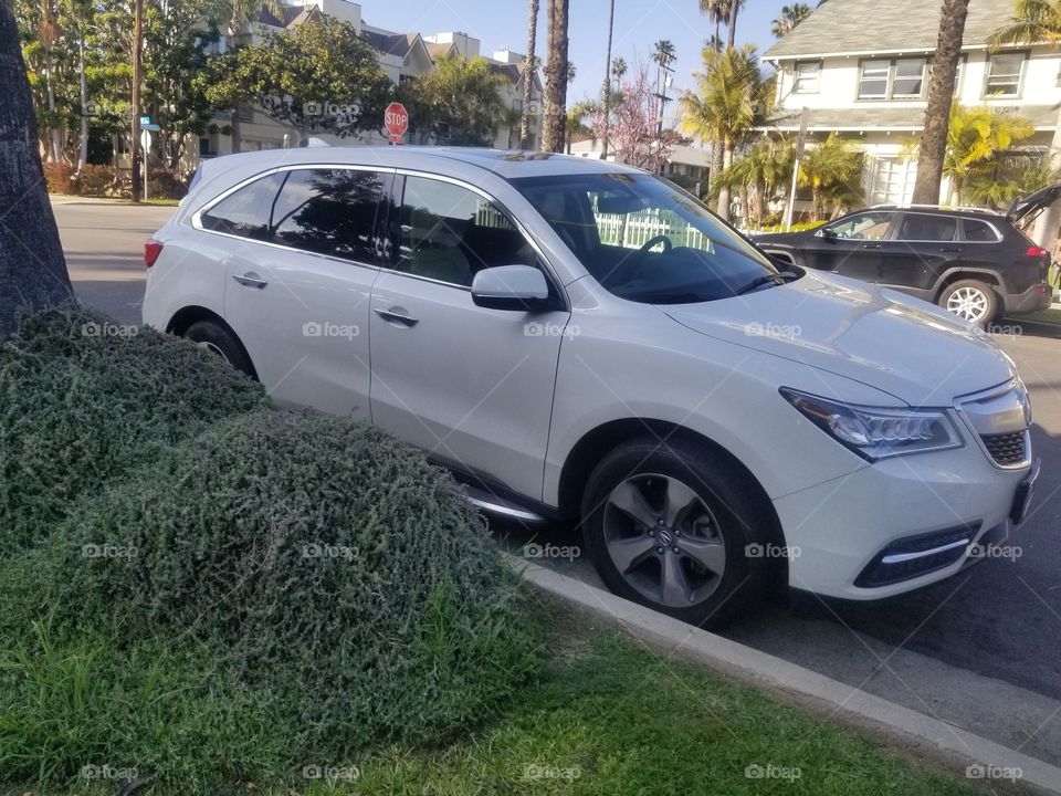 Beautiful clean white SUV Acura 2015 curbside next to a green bush.