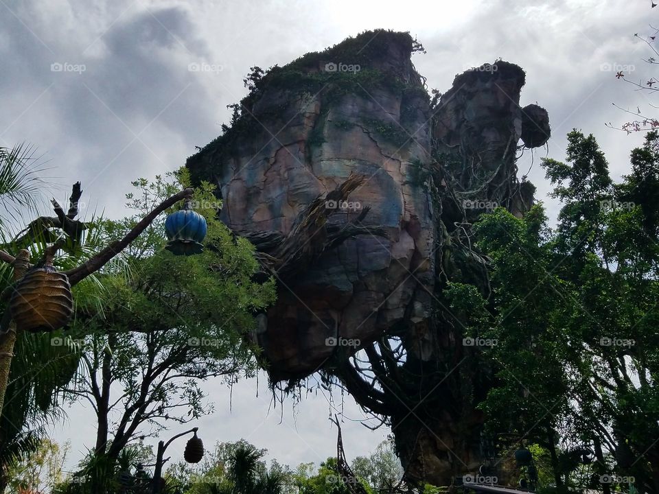The World of Pandora at Disney's Animal Kingdom