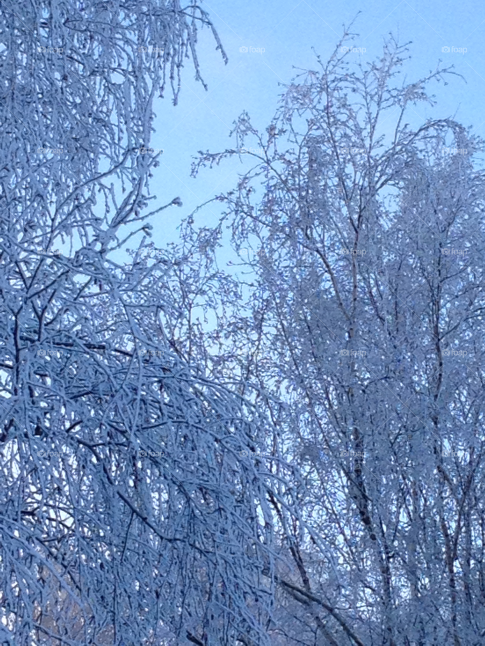 snow winter sky blue by jenahl