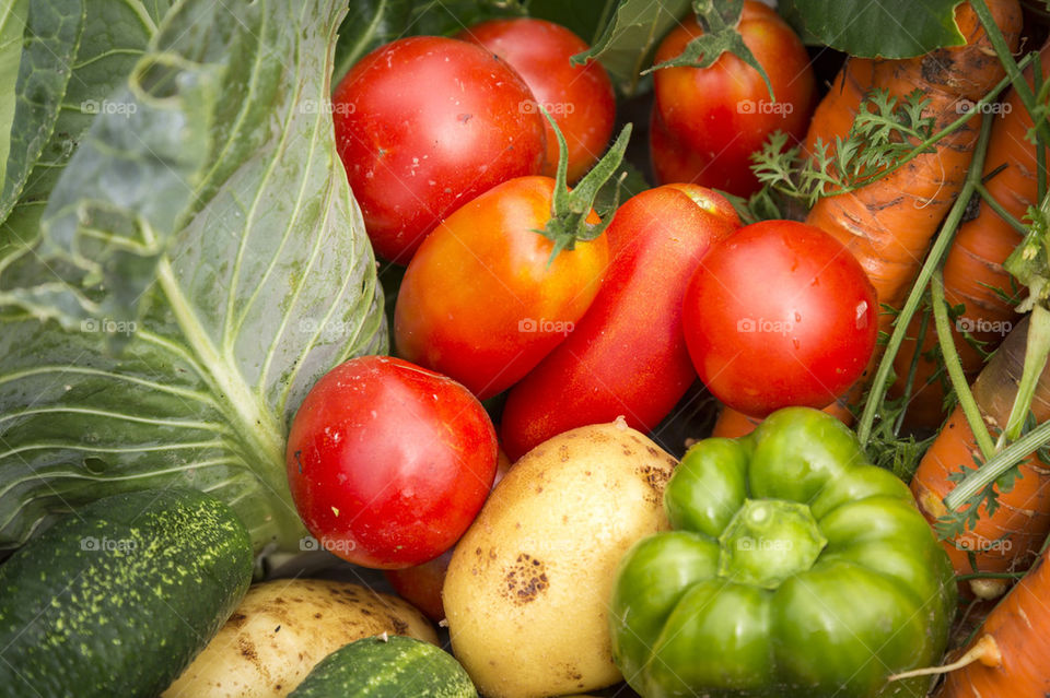 Organic vegetables from garde