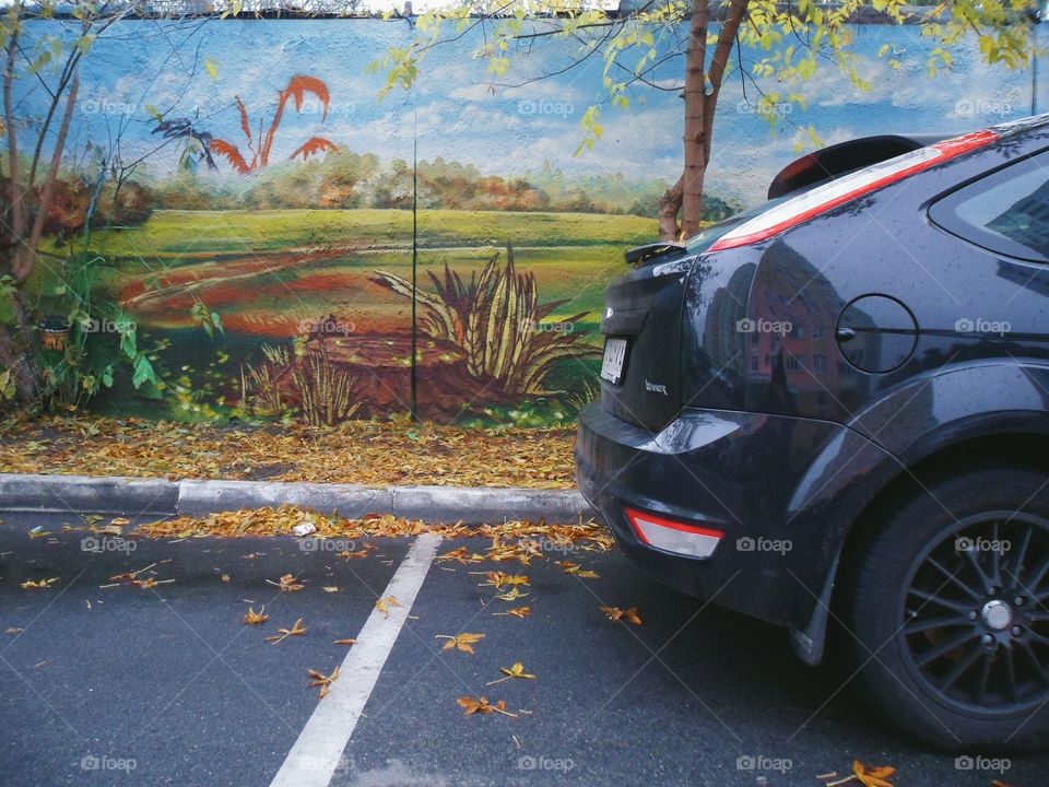 car on a background of a wall with graffiti