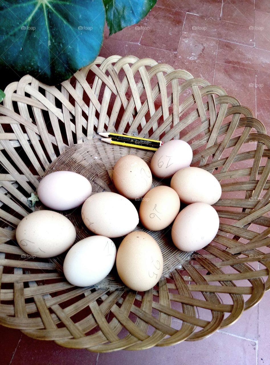 New-laid eggs, closeu